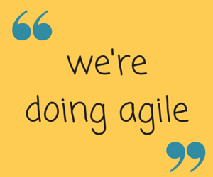 Agile is a practice not a state of mind